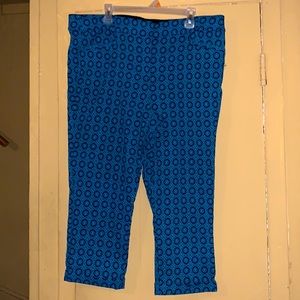 Lane Bryant Stylish Womens Pants Plus Size 20